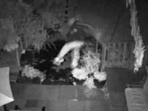 Supporting image for story: Bungling burglar makes CCTV splash