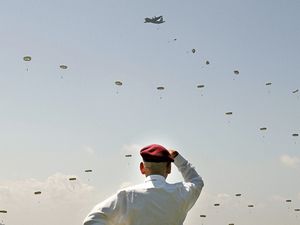 Supporting image for story: Peter Rhodes on a priceless letter, octopus confusion and the trauma haunting old soldiers