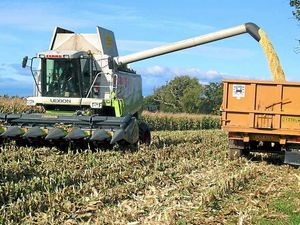 Supporting image for story: Shropshire farmers facing year of major challenges