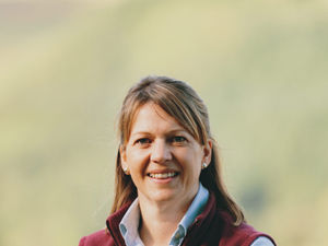 Supporting image for story: What to do when there’s nobody to take on the farm