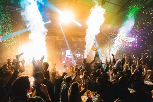 Bingo Lingo  is coming to Tamworth  