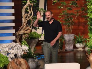 Supporting image for story: David Harbour reflects on mental illness and finding fame later in life