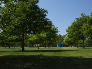 Supporting image for story: National Memorial Arboretum woodland planned for Covid victims 