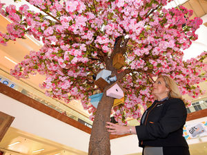 Supporting image for story: WATCH: Birdsong 'tweet tree' getting Merry Hill shoppers feeling chirpy
