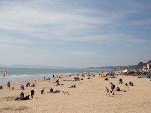 Supporting image for story: Vitamin D levels in Britons ‘increased by almost a third last summer’