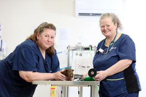 Vets Now in Telford has celebrated its 20th birthday. Pictured is vet Karen Booth (left) with principal nurse manager Fiona Scrimshaw and patient Coco the guinea pig