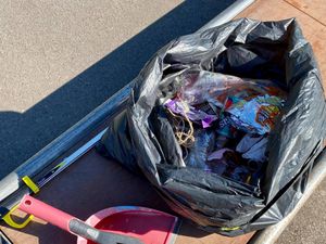 Supporting image for story: Newport youths helping to keep their parks clean