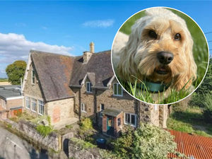 Supporting image for story: 'It's a second home': Shropshire village school with its own therapy dogs is praised by Ofsted inspectors