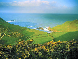 Supporting image for story: Holiday review: Salcombe, Devon