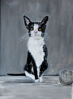 Gill said she was planning to exhibit some of her works later in the year