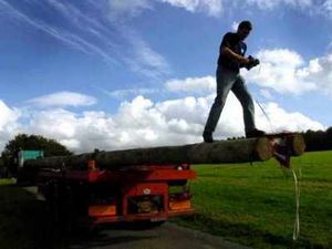 Supporting image for story: In pole position for huge event at forest