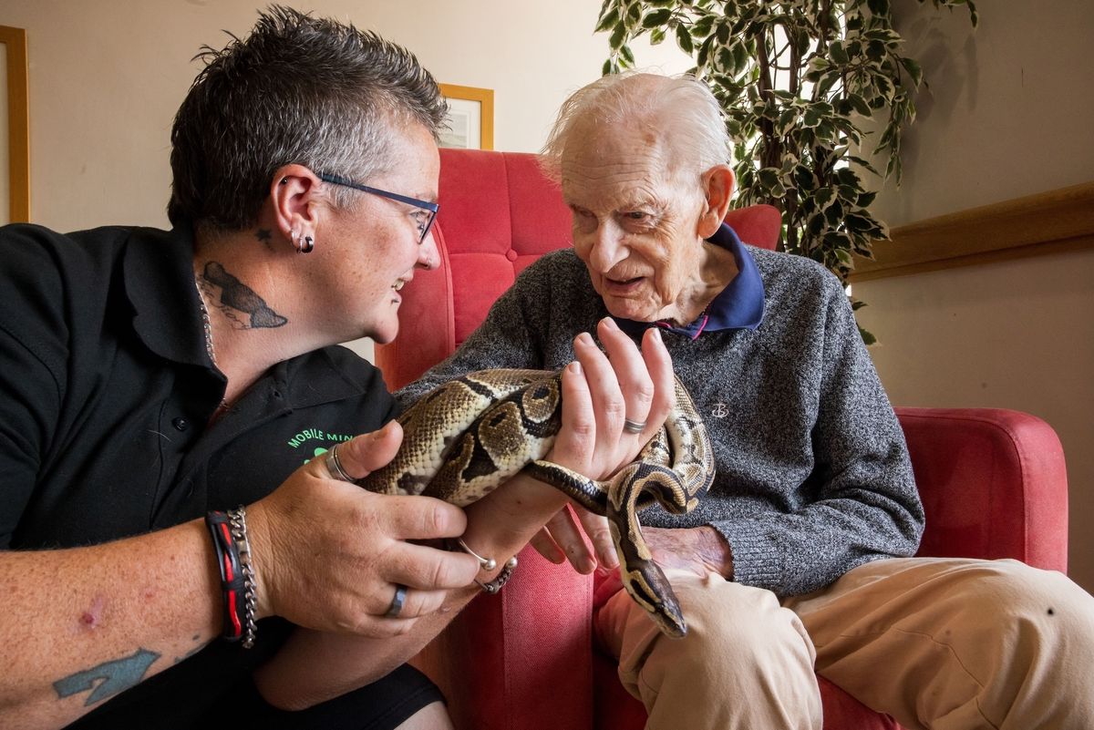 Unusual visitors bring smiles to residents faces at a Rocester care home