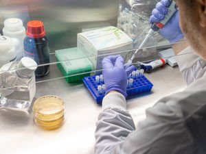 Supporting image for story: Coronavirus: Further two hospital deaths confirmed in Shropshire