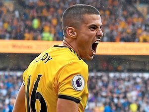 Supporting image for story: No Europe talk for Wolves, insists Coady