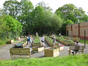 Supporting image for story: Public plots of land could be turned into community food gardens