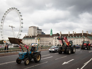 Supporting image for story: Farmers' union vows to protect industry as concerns over US imports grow