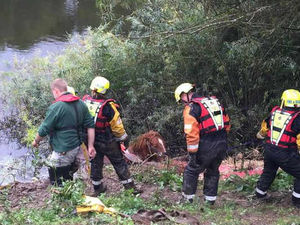 Supporting image for story: Fire crews to rescue of horse stuck in silt by River Severn