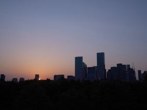 Supporting image for story: UK stock markets rally and dollar strengthens as Trump poised for presidency