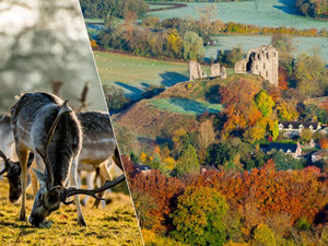 Supporting image for story: 12 secret spots in Shropshire for autumn colours - with wonderful walks, cosy cafes and the best pubs