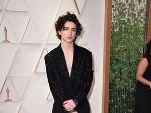 Supporting image for story: Timothee Chalamet goes shirtless on the Oscars red carpet