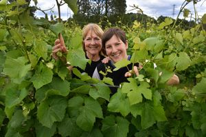 Jane and Steph Wilcox stand inside one of the many vines at the vineyard