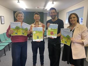 Supporting image for story: Wellington retailers partner with charity for garden competition  