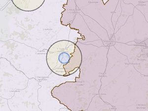 Supporting image for story: All poultry to be 'humanely culled' at farm near Welshpool after bird flu detected