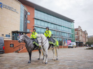 Supporting image for story: New West Midlands Police horses carry out first patrols across the region in over 25 years