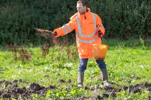 Volunteer David Wilkinson Spreading Wildflower Seeds By Hand At A Site Off Fairway In The Town Centre During A Volunteer Day In September 2024. Image courtesy of National Highways