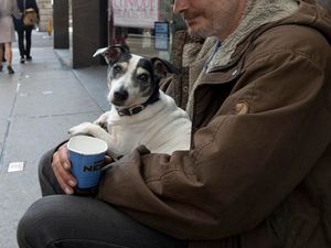 Supporting image for story: Homeless 'make £80 a day' begging on streets of Shrewsbury 