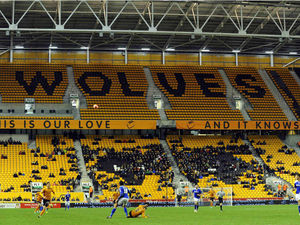 Supporting image for story: Wolves fan banned from football over bottle throw at Blues fans