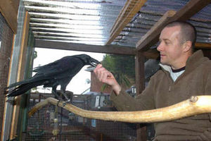 Supporting image for story: Couple's flock of birds are TV stars