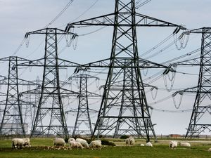 Supporting image for story: National Grid gets £70m uplift from delayed electricity operator sale