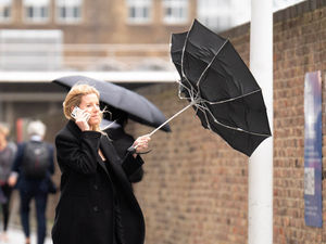 Supporting image for story: Heavy rain and wind batter the region