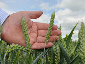 Supporting image for story: UK’s first School of Sustainable Food and Farming set to open in Shropshire