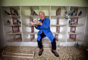 Supporting image for story: 'A little consideration can go a long way to help animals survive Guy Fawkes Night' - Your Letters and a flight from Stourton to Zimbabwe in our Picture from the Past series