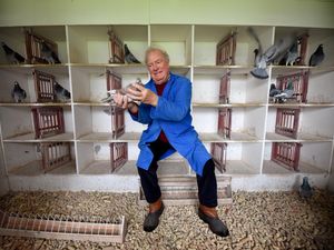 Supporting image for story: 'A little consideration can go a long way to help animals survive Guy Fawkes Night' - Your Letters and a flight from Stourton to Zimbabwe in our Picture from the Past series