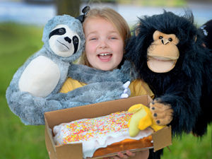 Supporting image for story: Young baker's sweet way to help Dudley Zoo