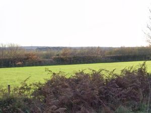 Supporting image for story: Plans lodged to open new dog walking field in Staffordshire village