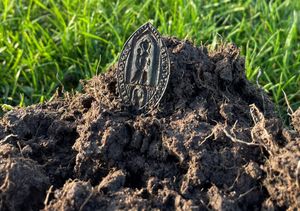 Supporting image for story: Real or fake?: Shropshire detectorist's 'greatest find' questioned by historian