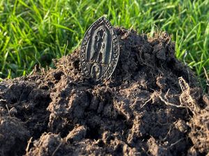 Supporting image for story: Real or fake?: Shropshire detectorist's 'greatest find' questioned by historian