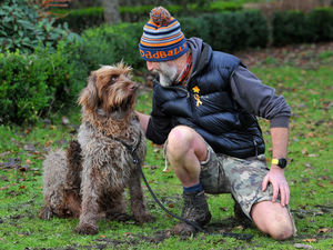 Supporting image for story: Tails wag in Shropshire as dog walking restrictions eased
