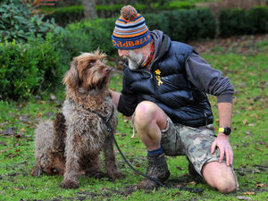 Supporting image for story: Tails wag in Shropshire as dog walking restrictions eased