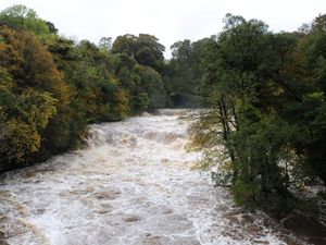 Supporting image for story: Government ‘could miss chance to tackle chemical pollutants from wastewater’