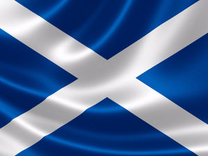 Supporting image for story: Peter Rhodes on Scotland's dilemma, reckless road-blockers and warnings about obesity from the front line