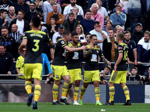 Supporting image for story: Wolves v Southampton: Inside track on Ralph Hasenhuttl's side