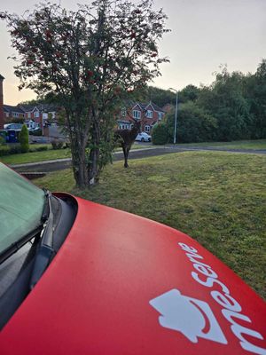 Katie was shocked as she left her house only to be greeted by a wild stag