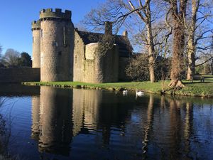 Supporting image for story: Swanning about on the moat