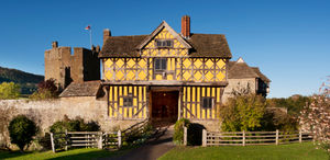 Supporting image for story