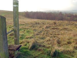 Supporting image for story: Scarecrows to take over Ifton Meadows for anniversary fun day 
